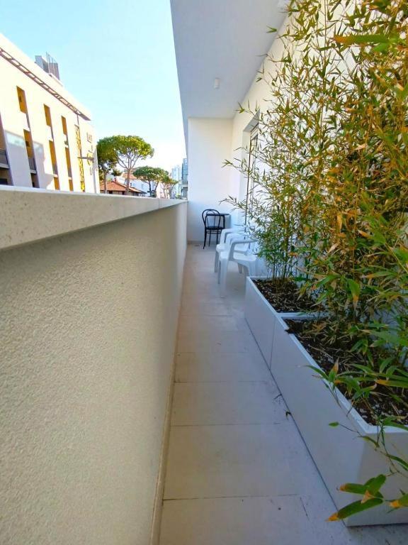 Hotel Exclusive In Pieno Centro - Nuova Gestione 2025 Riccione Exterior photo